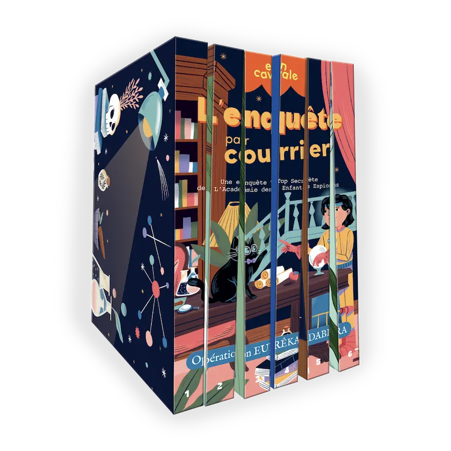 Boîte de L'Enquête par courrier d'En Cavale
