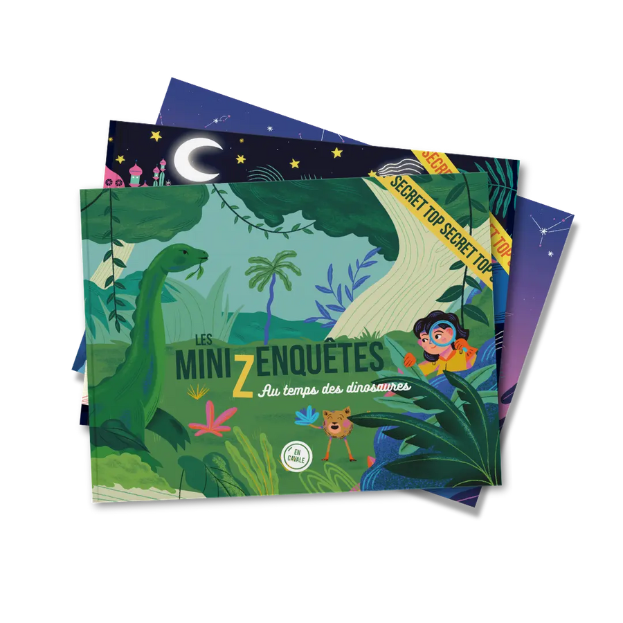 Les 3 livres miniZenquêtes d'En Cavale